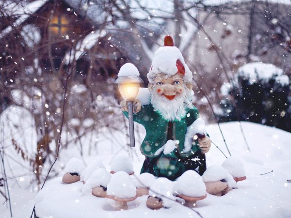 Fairies, dwarves and elves – do they really exist?