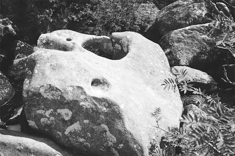 Fairy gully dartmoor, magical portal, England